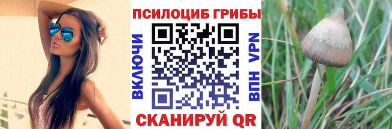 Псилоцибиновые грибы Psilocybine cubensis  Котово 